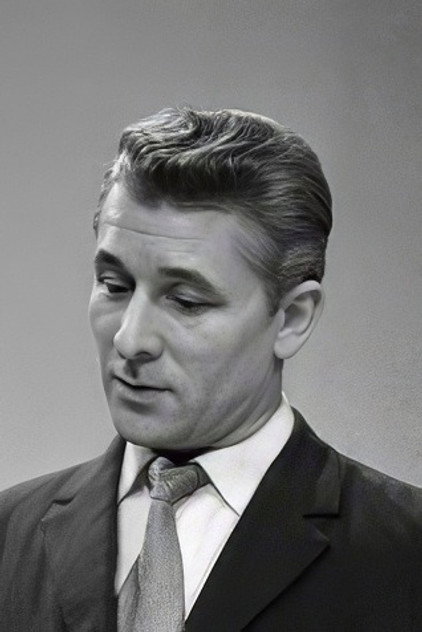 František Budín