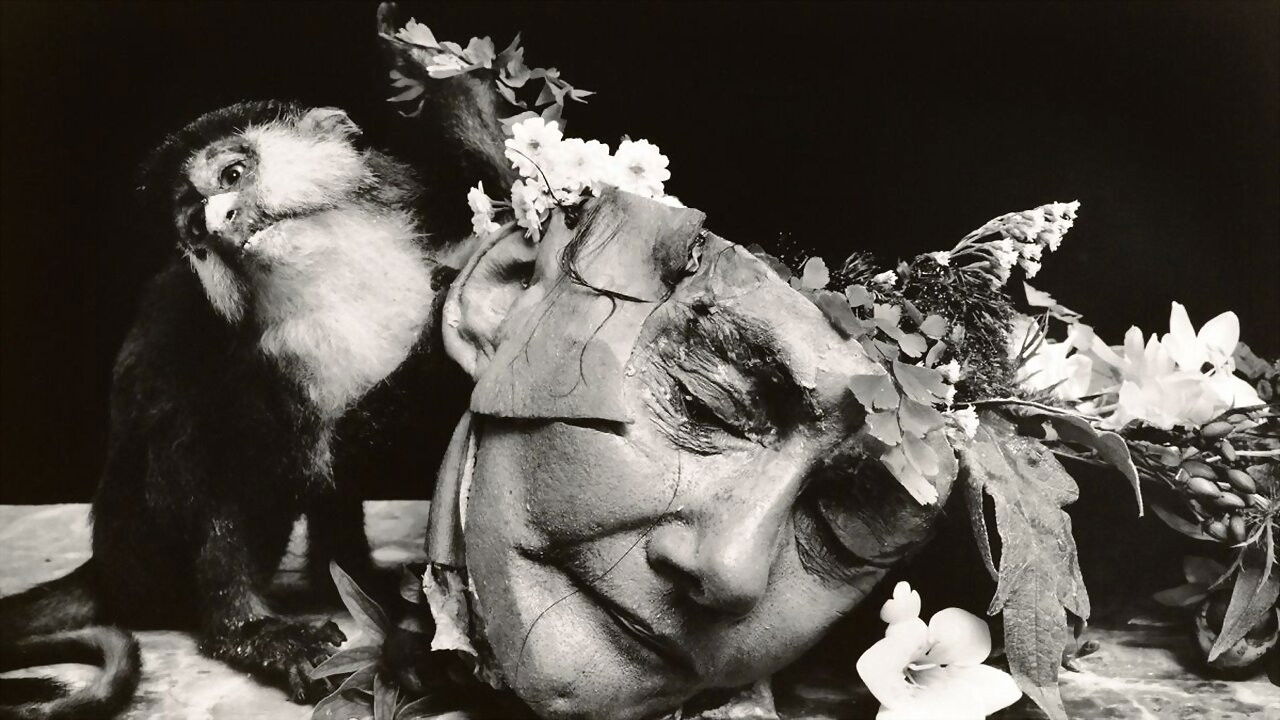 Witkin & Witkin