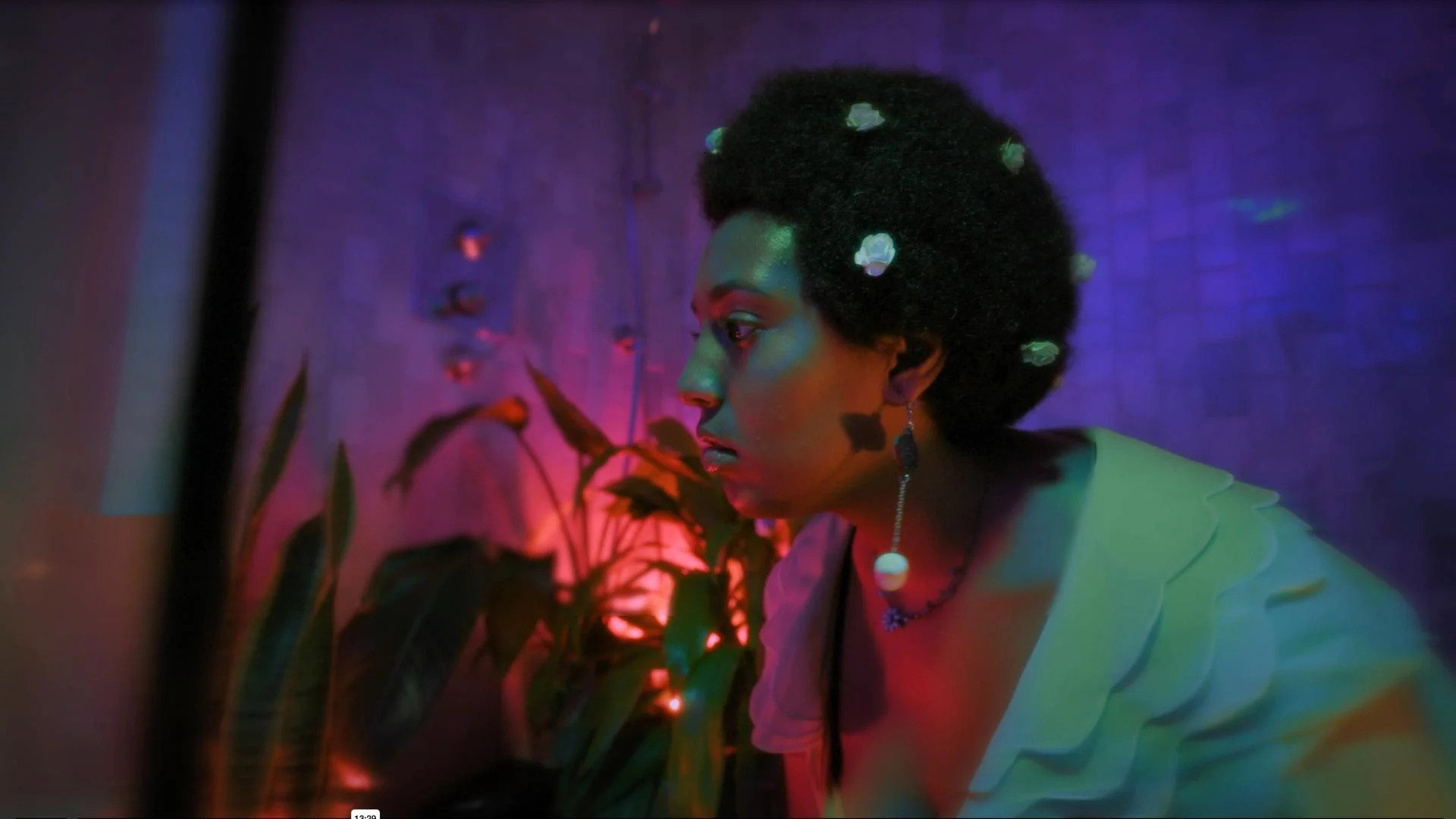 Bloom Room