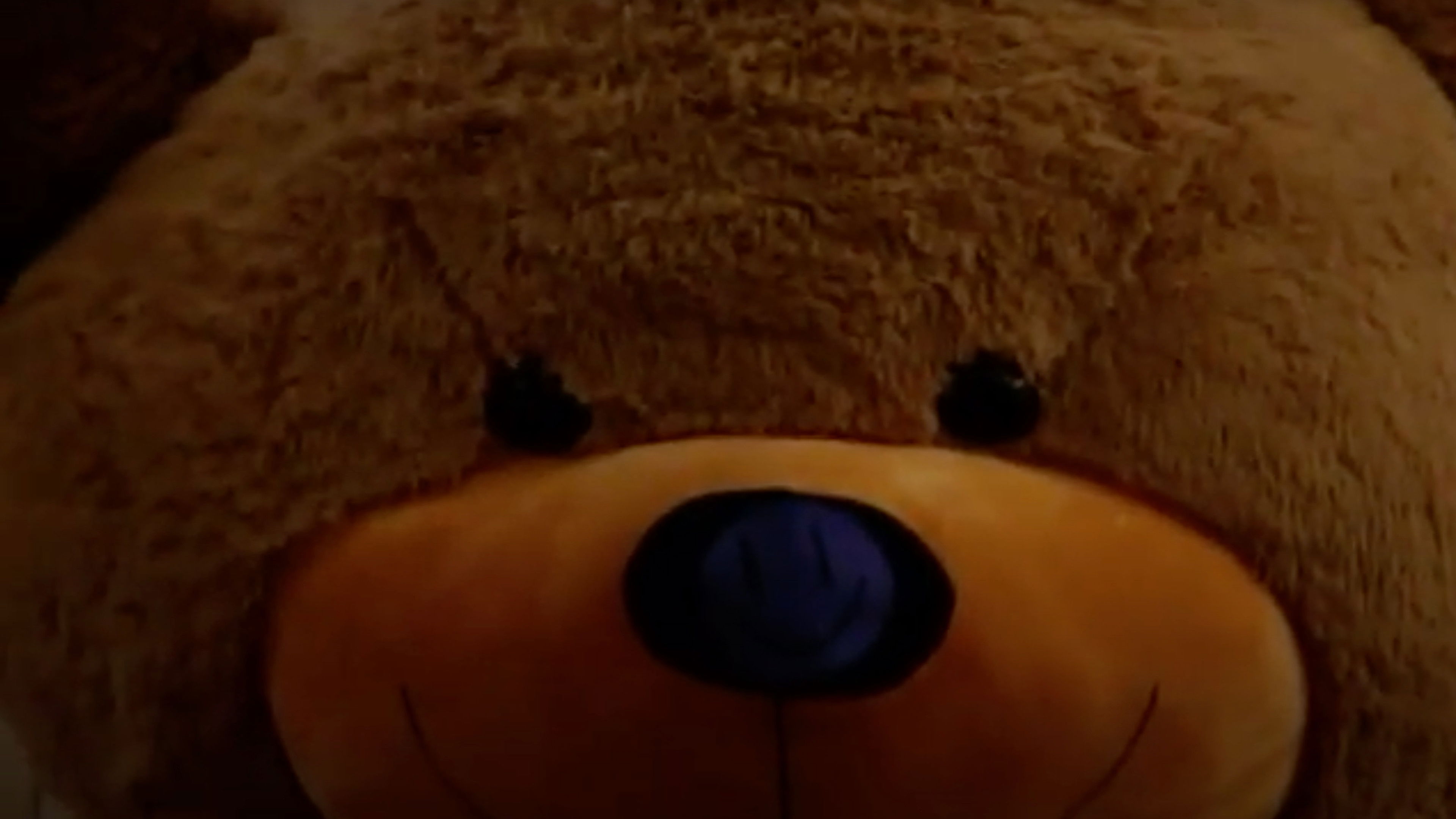 Steven's Last Night in Town