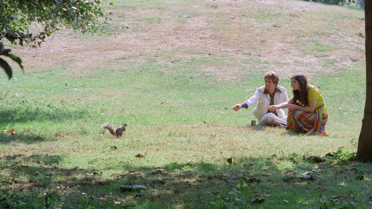 Virgin and the Lover