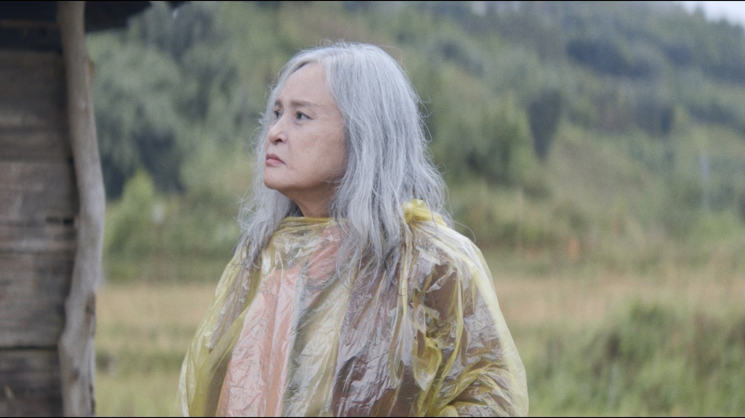 Visiting Heaven Gate