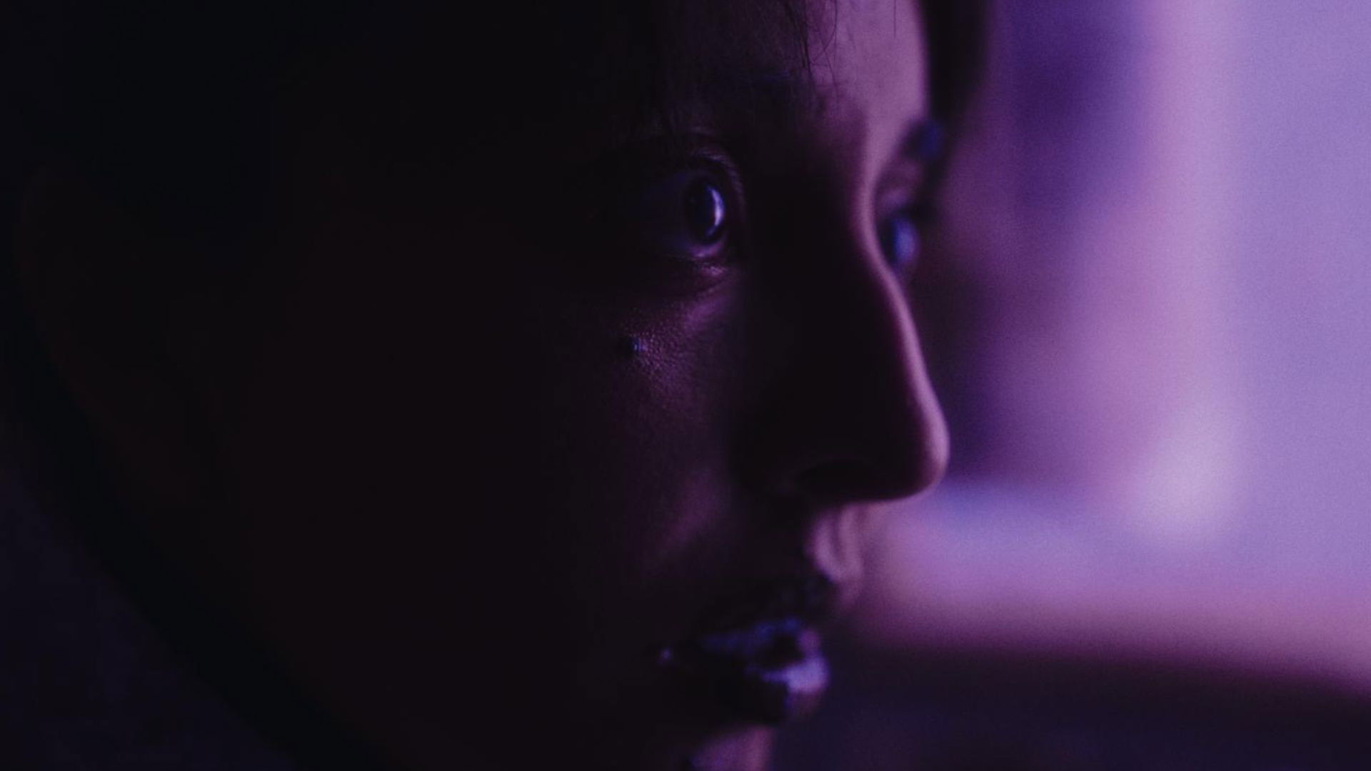 Cuando los gatos no maúllan