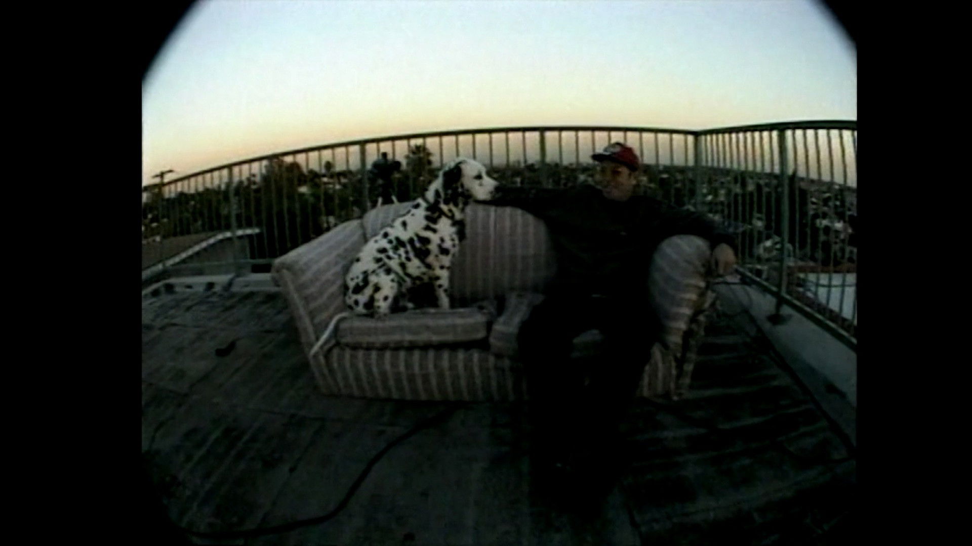 Sublime | Stories, Tales, Lies & Exaggerations