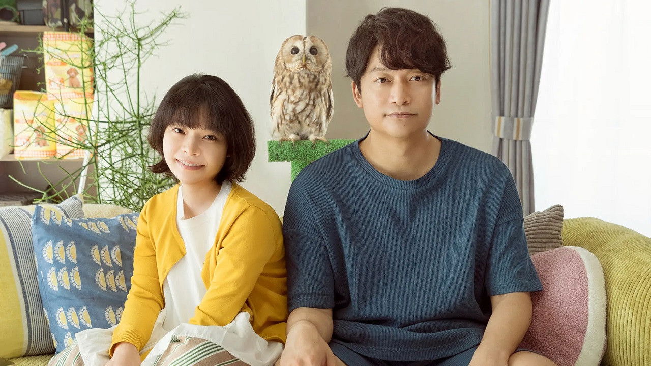 Everything Will Be Owlright!