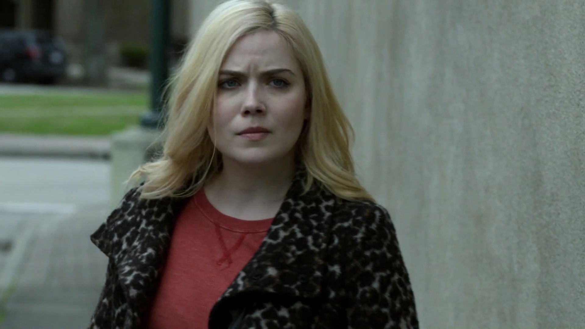 Stolen in Plain Sight