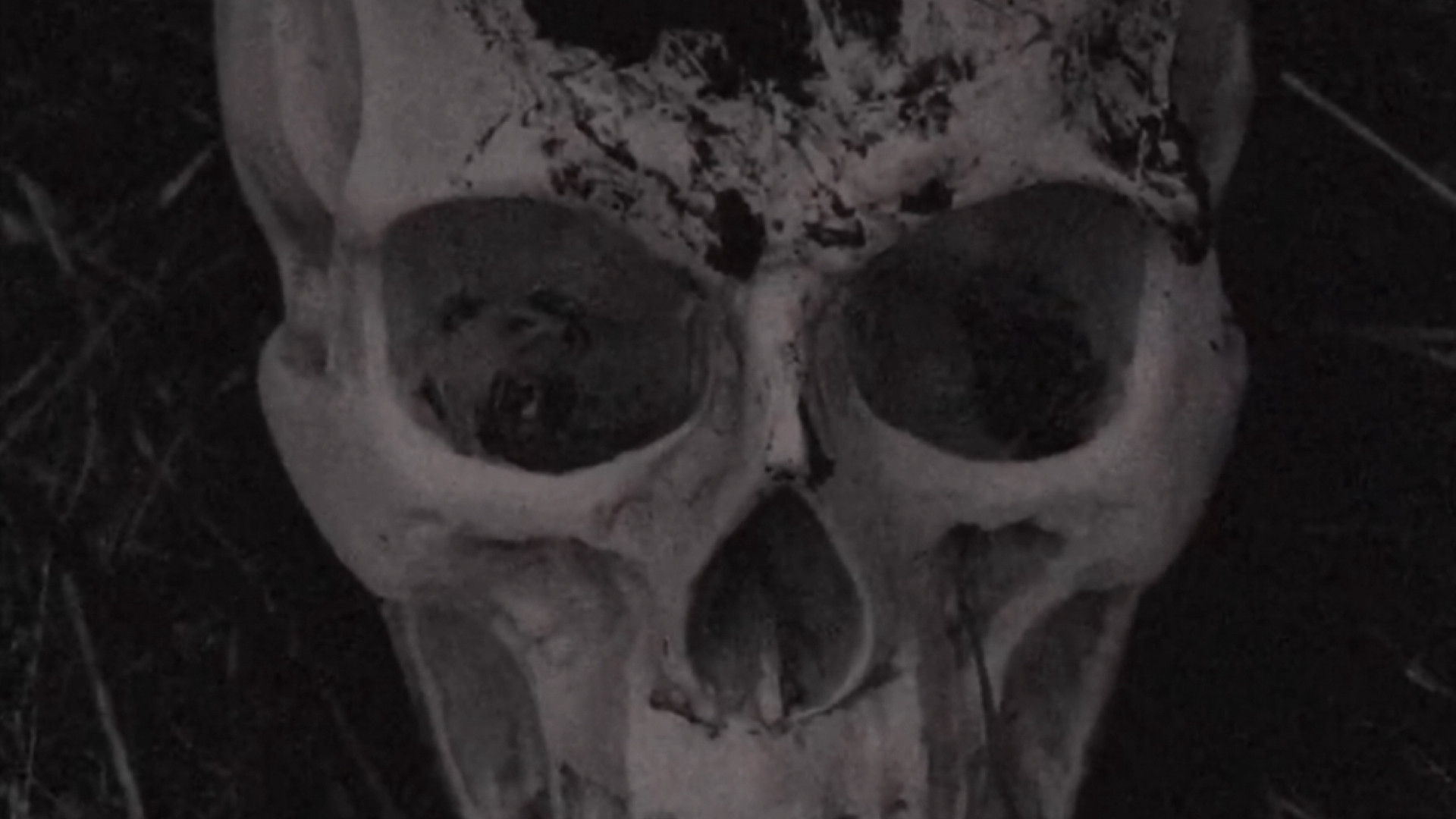 The Volition Of A Bygone Priest