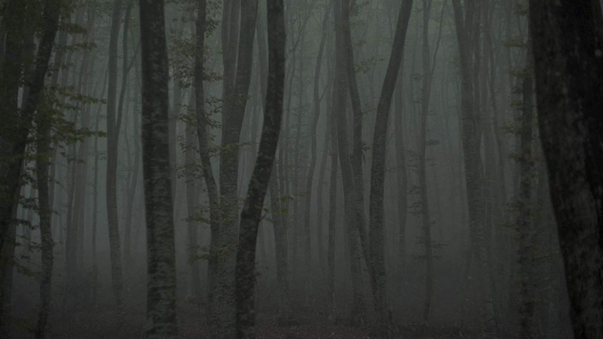 Refuge II: The Ice Path