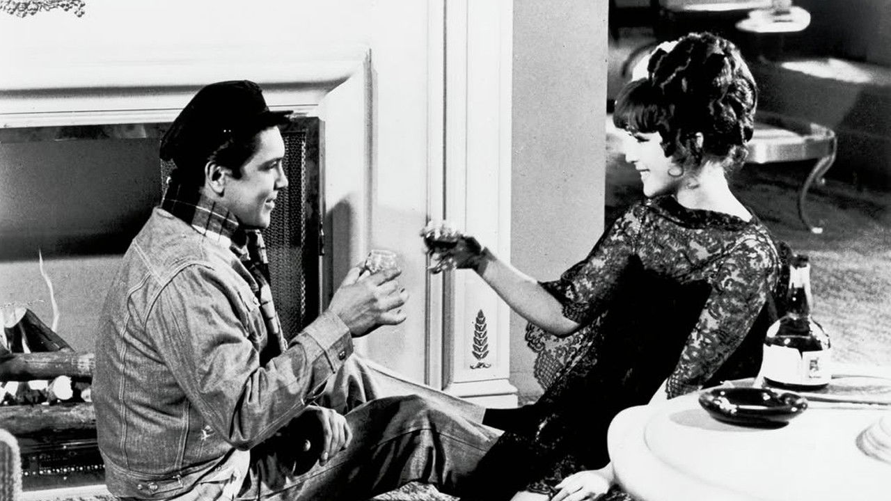 Romeo contra Julieta