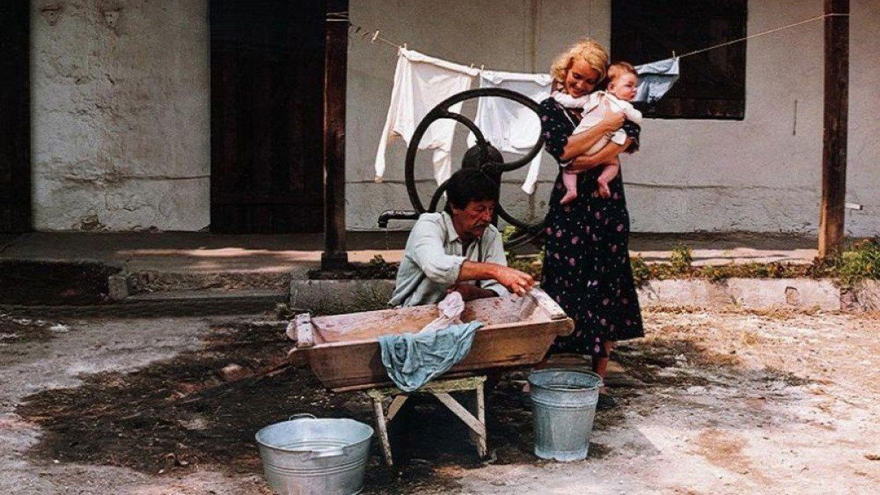 Volley for a Black Buffalo