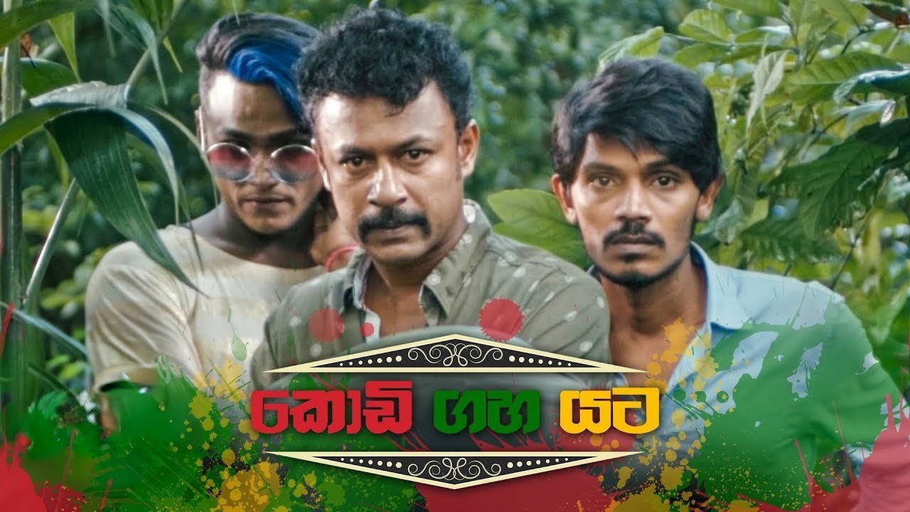 Kodi Gaha Yata