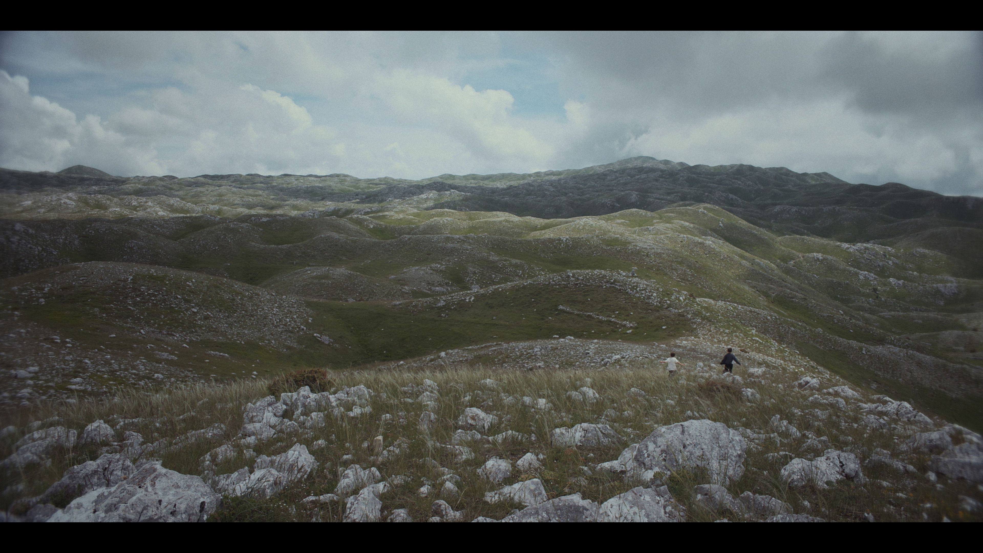 Largohen Dallëndyshet