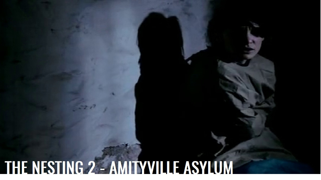 The Amityville Asylum