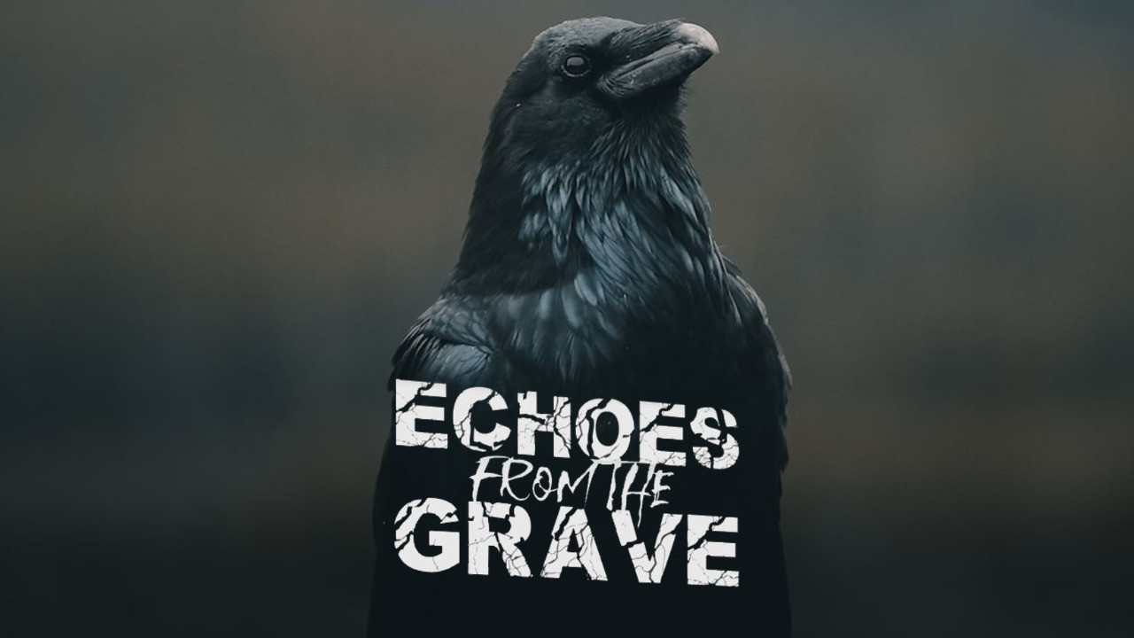 Echoes From The Grave