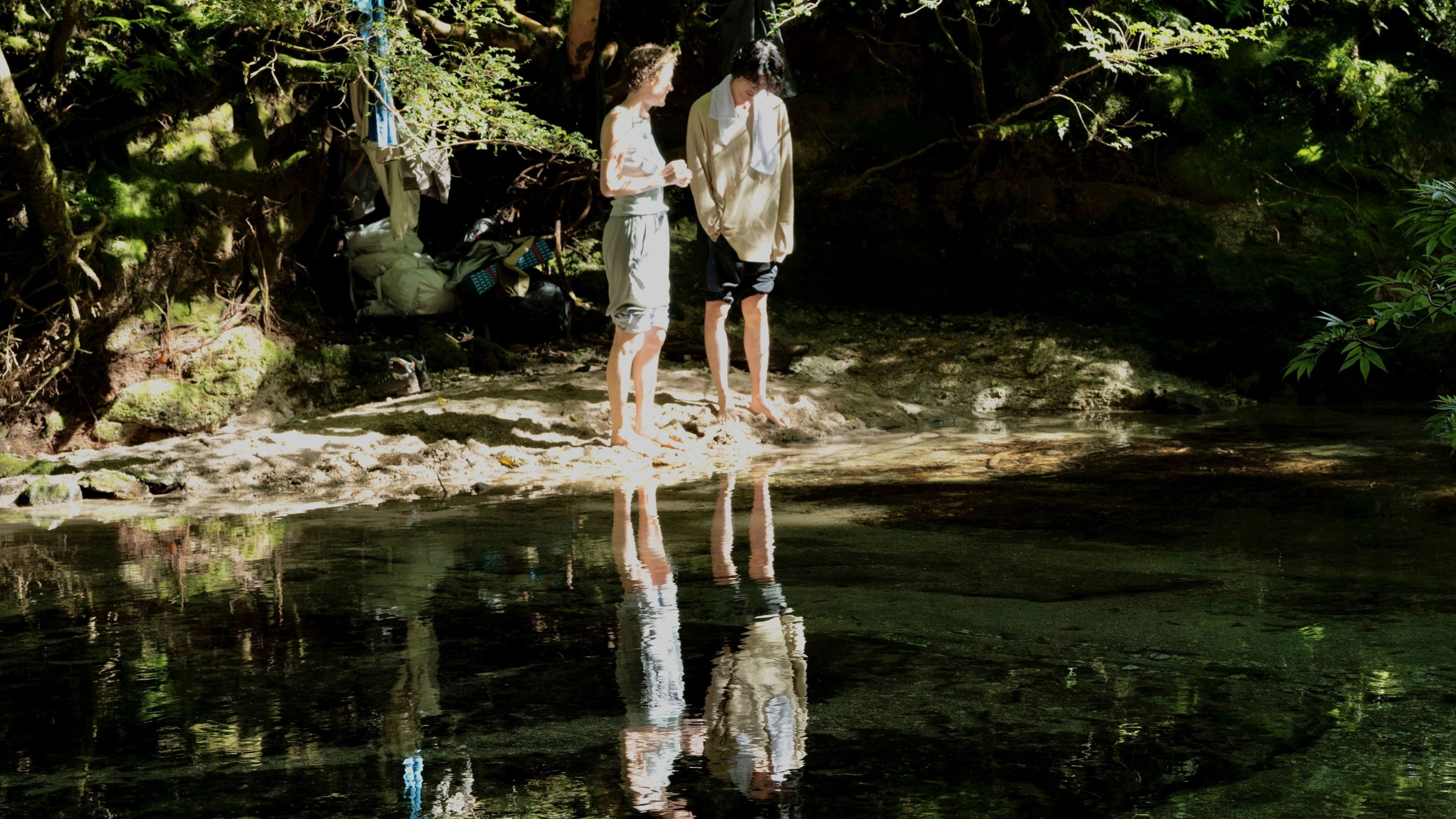 Yakushima's Illusion