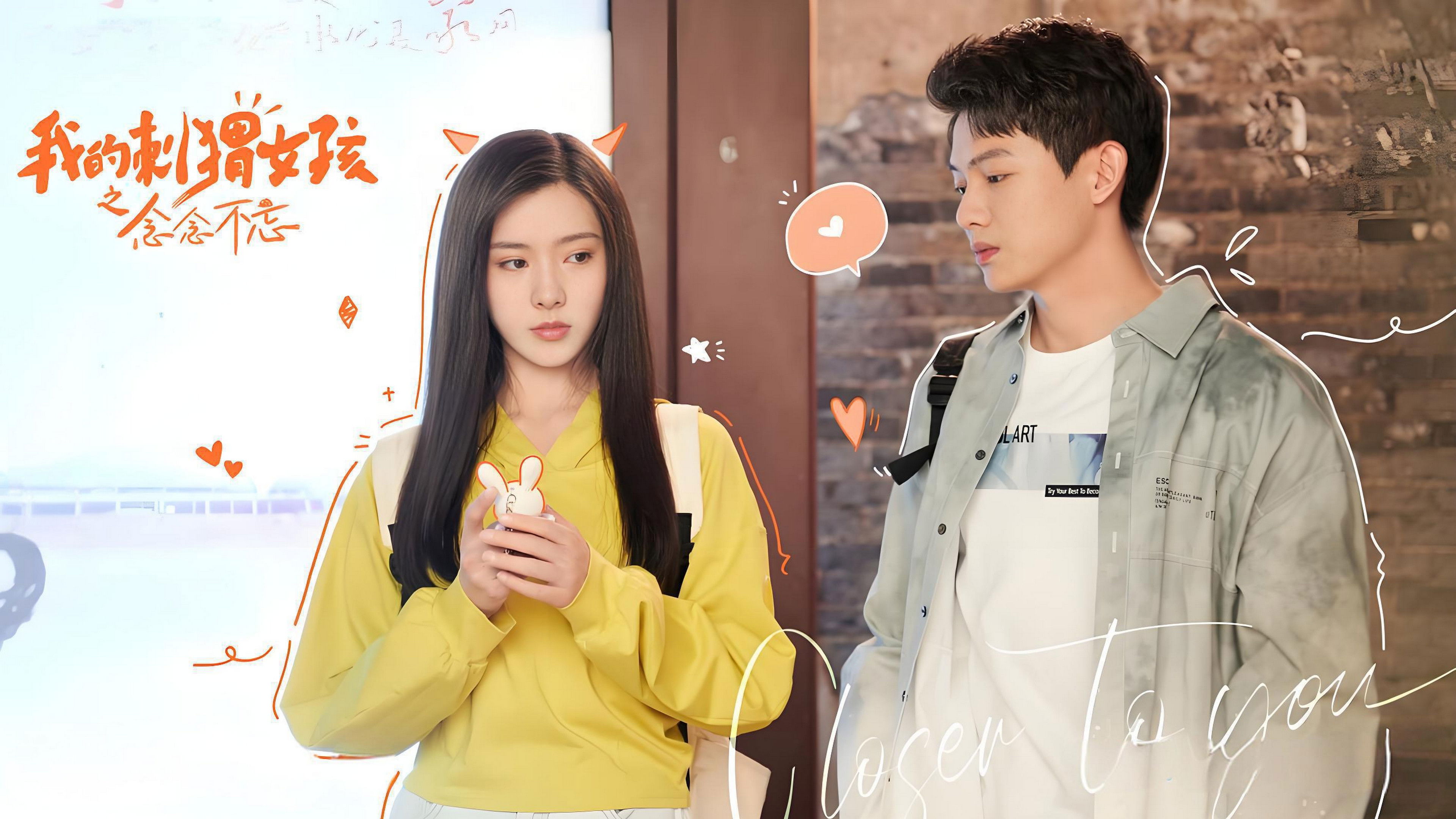 我的刺猬女孩之念念不忘