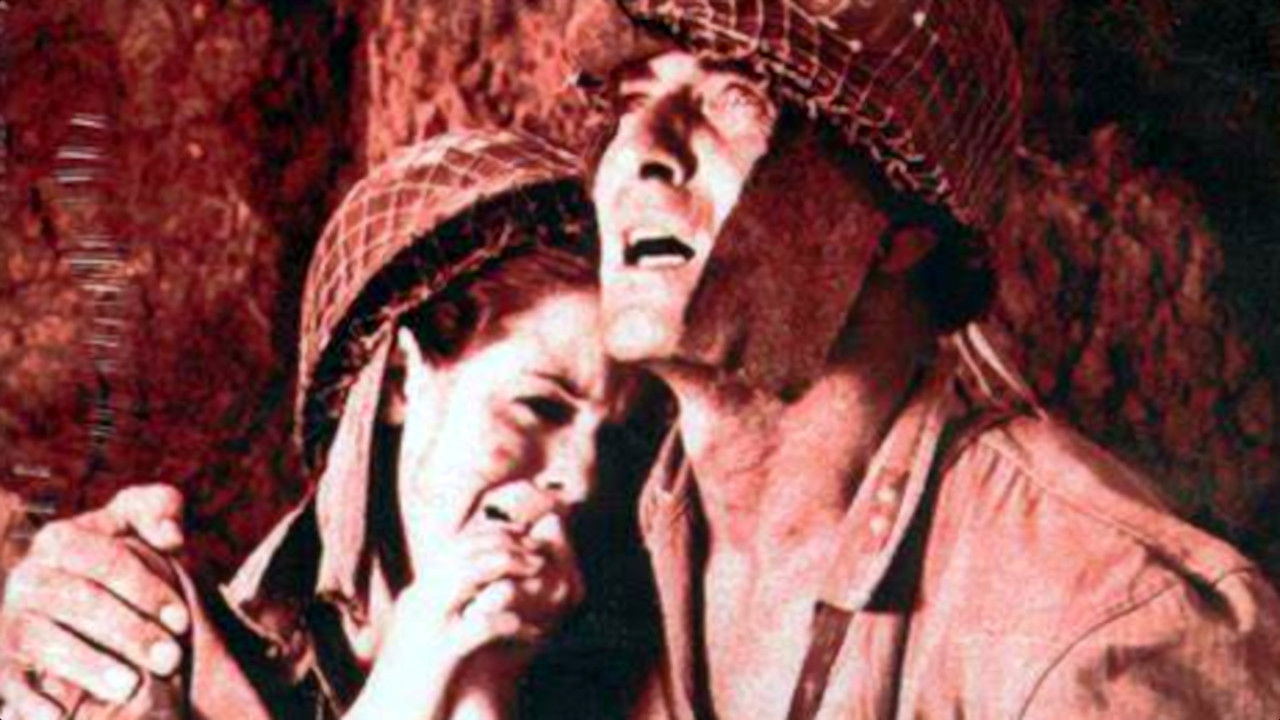 Guerillas in Pink Lace