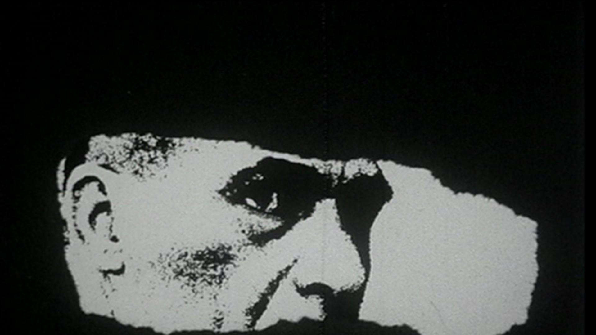 Report on Brazil: Carlos Marighella