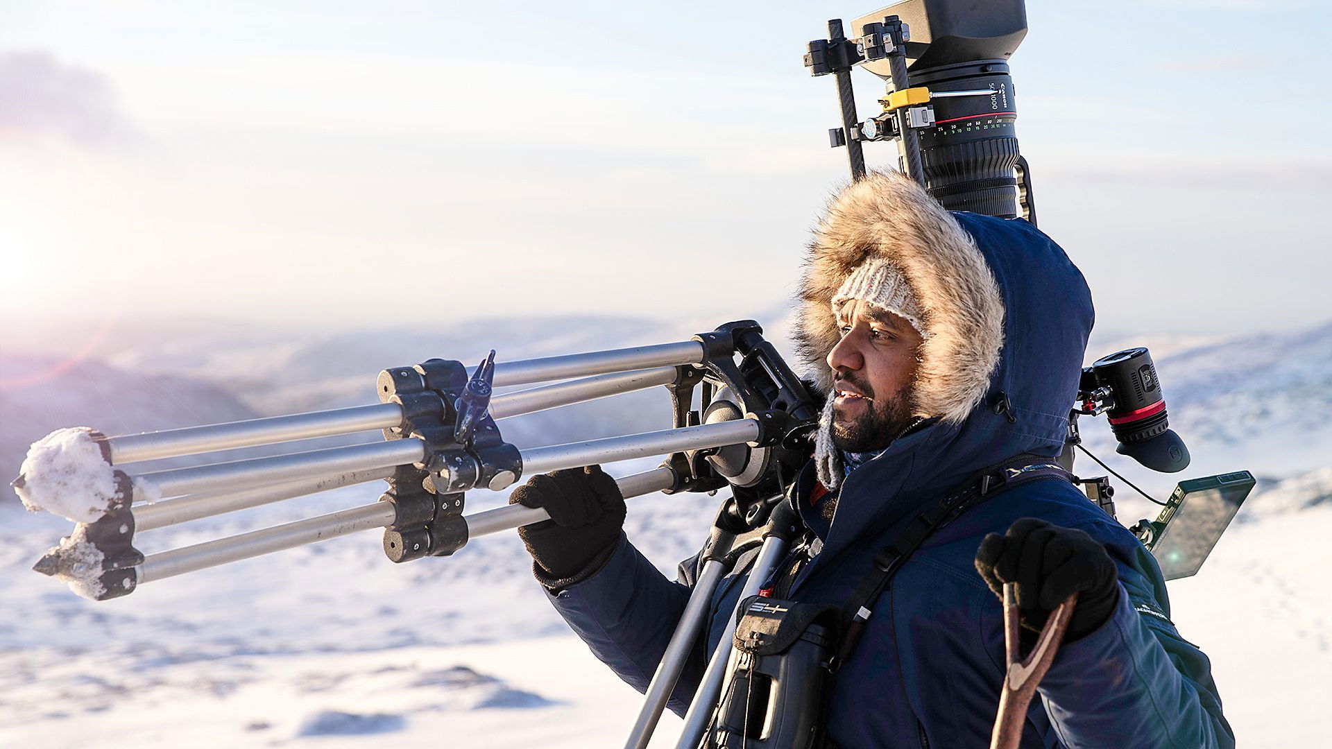 Hamza's Hidden Wild Isles