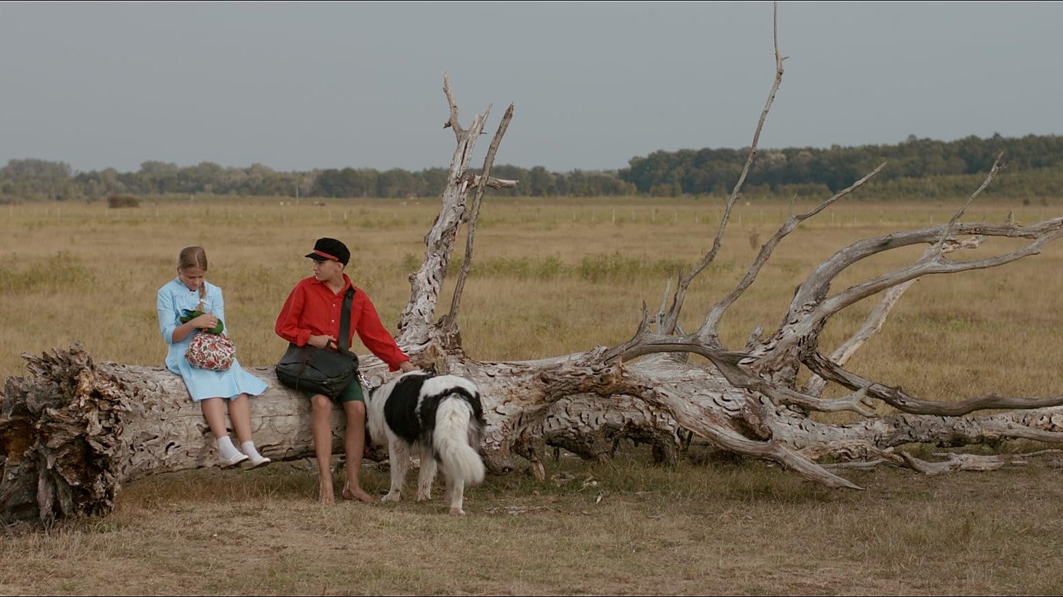 The Brave Adventures of a Little Shoemaker