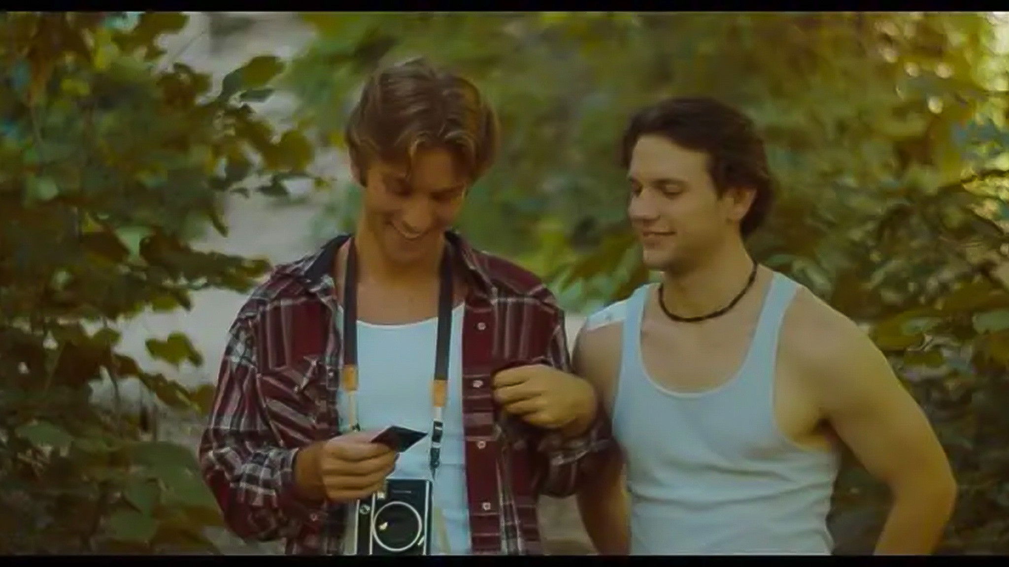 A Whisper in the Trees