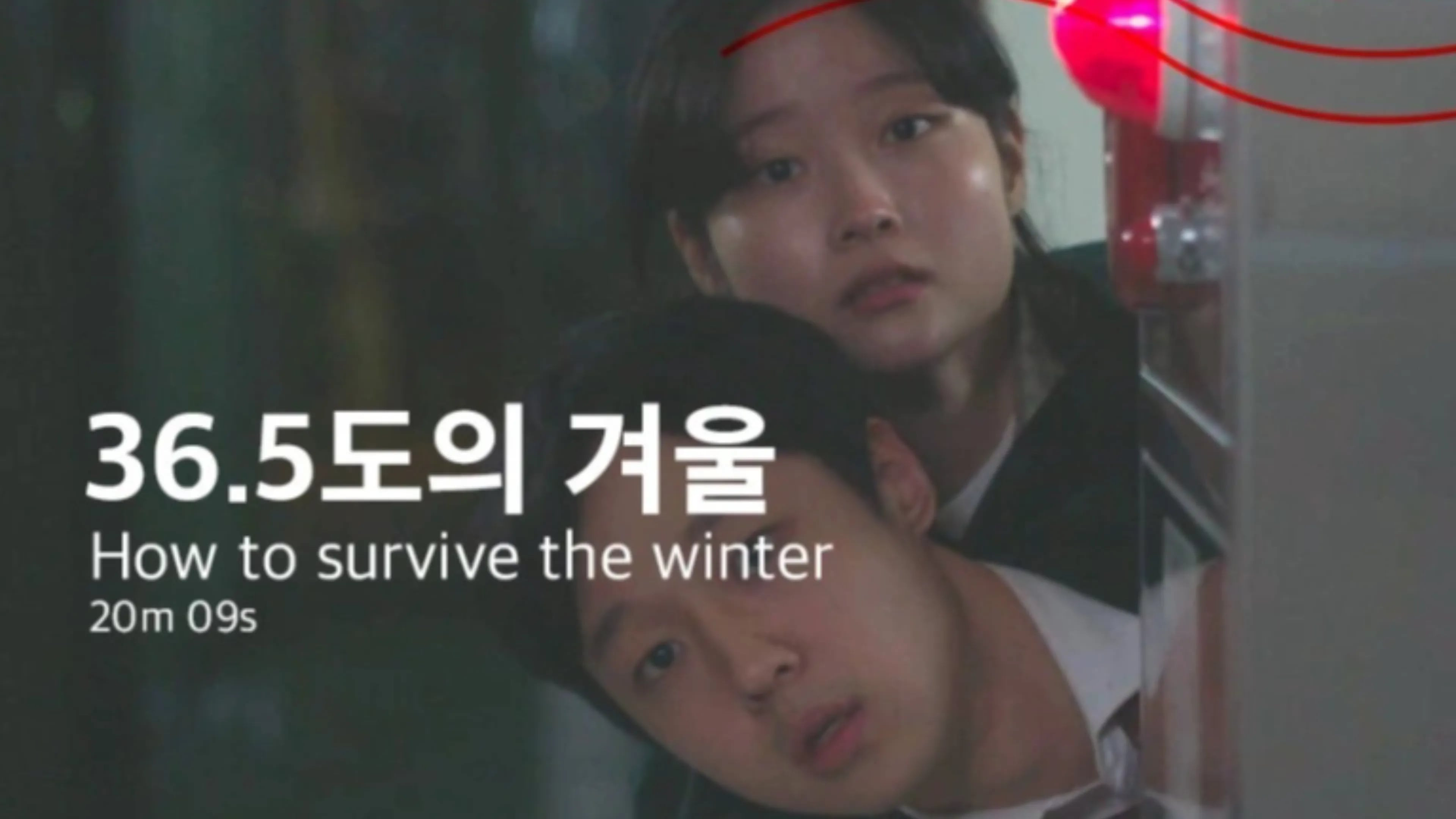 How to survive the winter