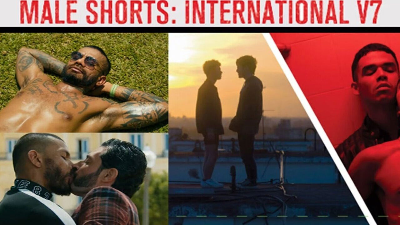 Male Shorts: International V7
