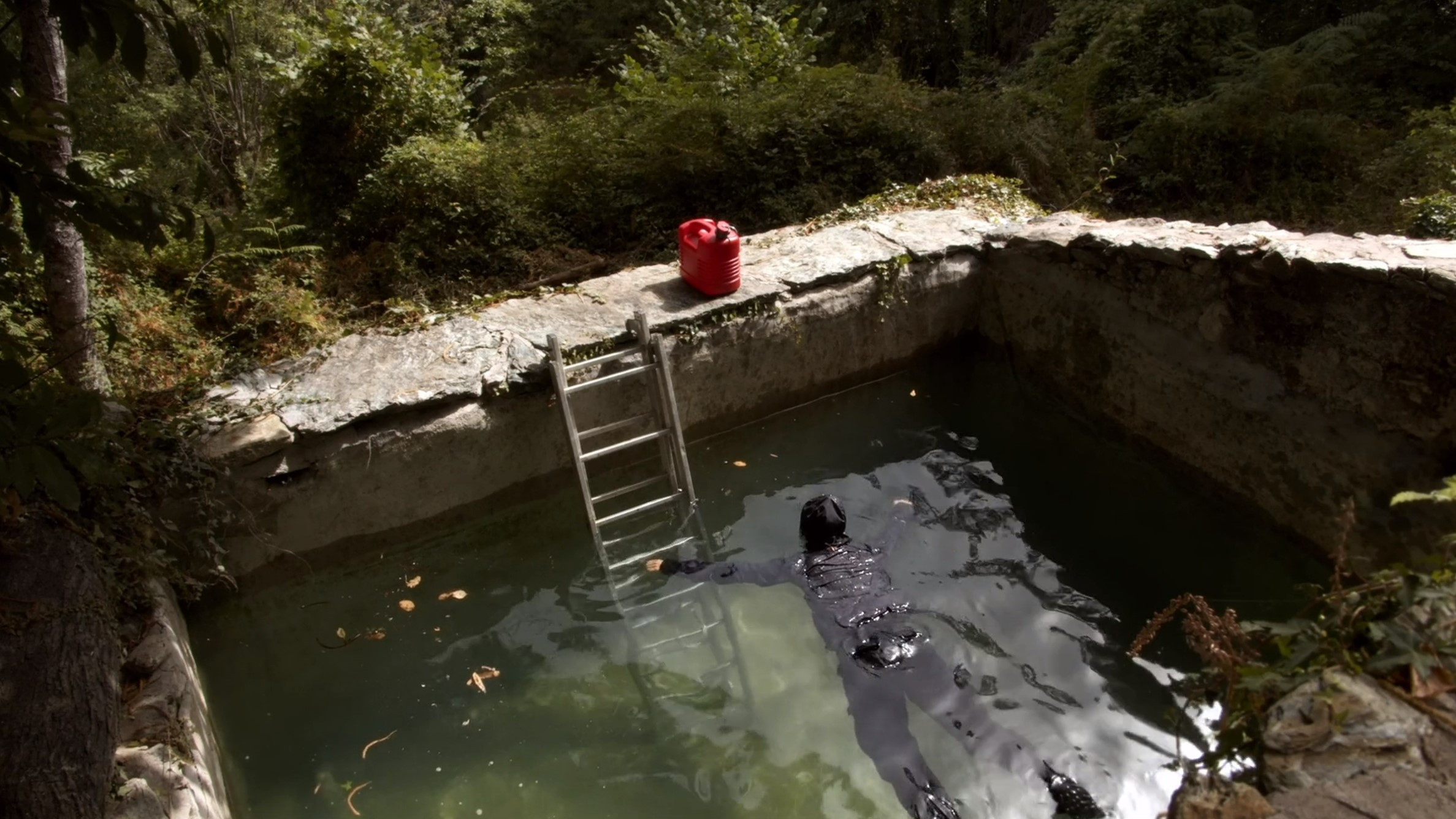 Watch the Fire or Burn Inside It