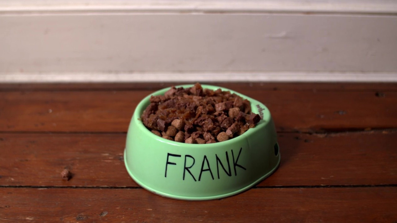 L.T.'s Theory of Pets