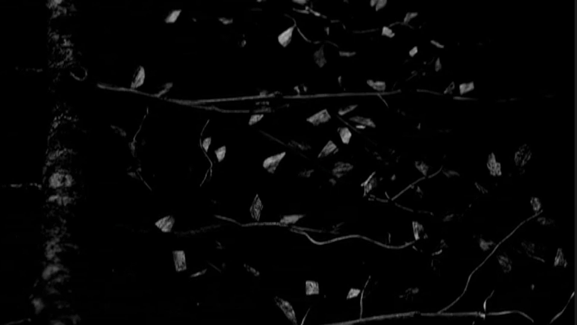 Gojira: Live at Garorock