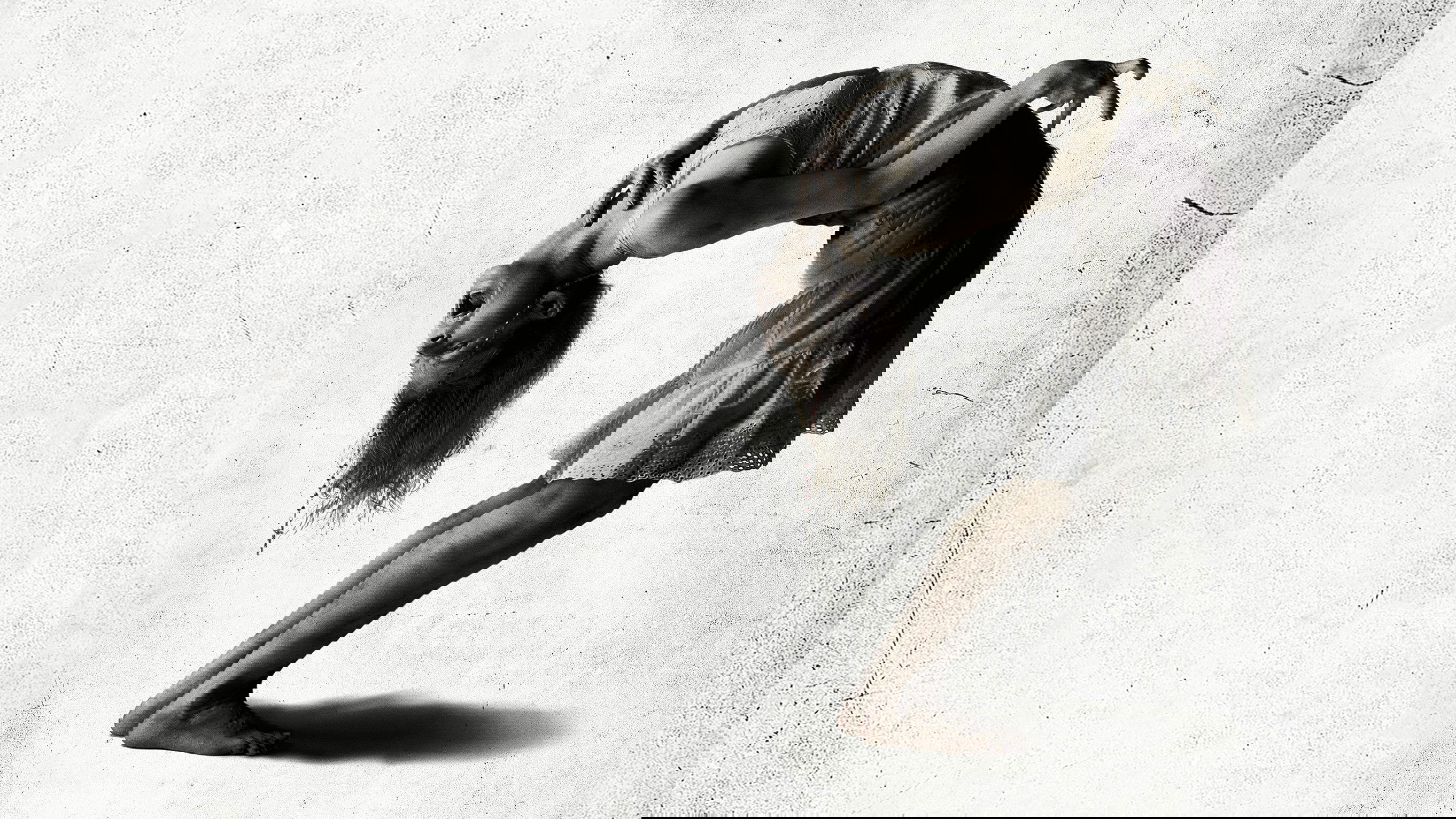 The Last Exorcism Part II