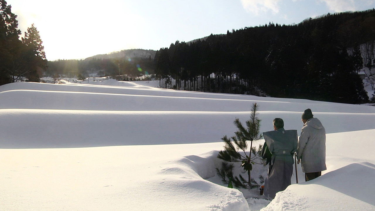 The Genealogy of Sake