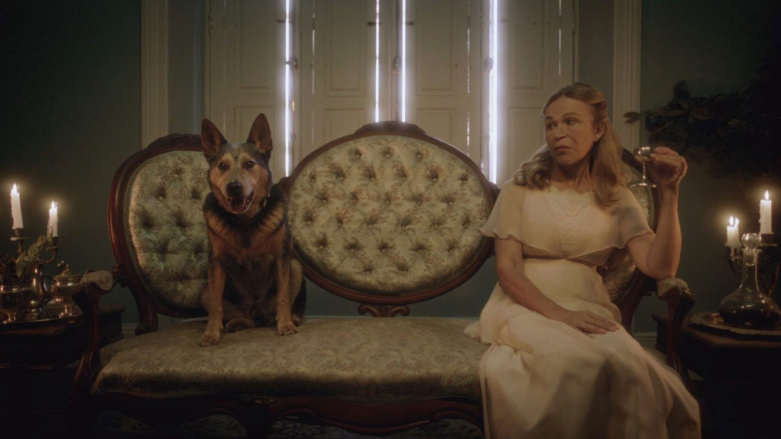 La paciente desconocida de Freud