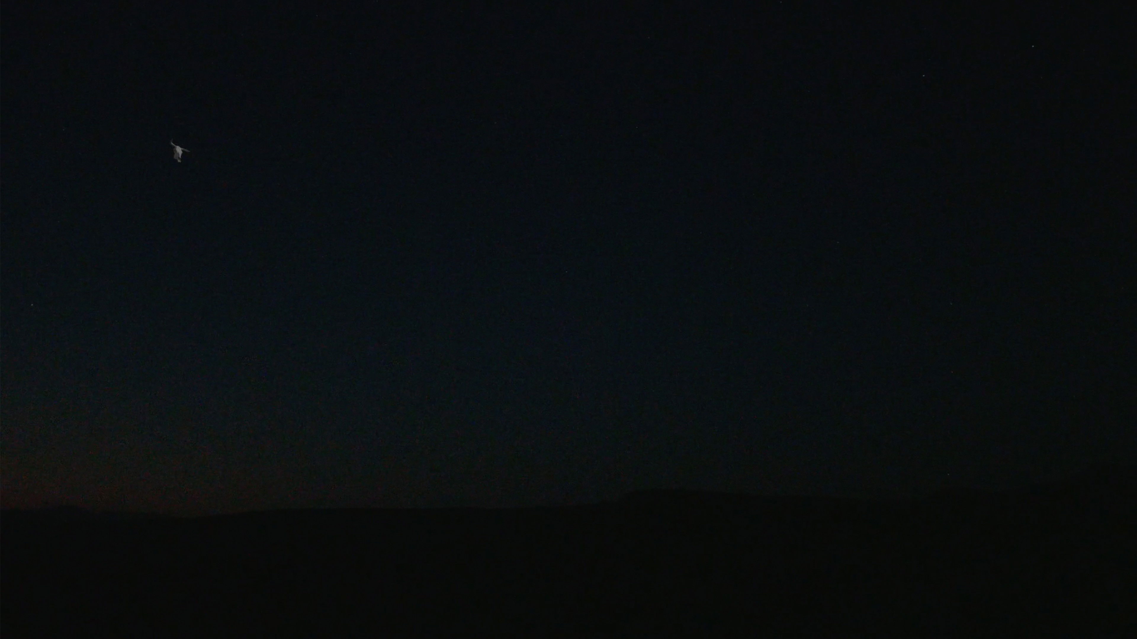 The Skull and the Arm