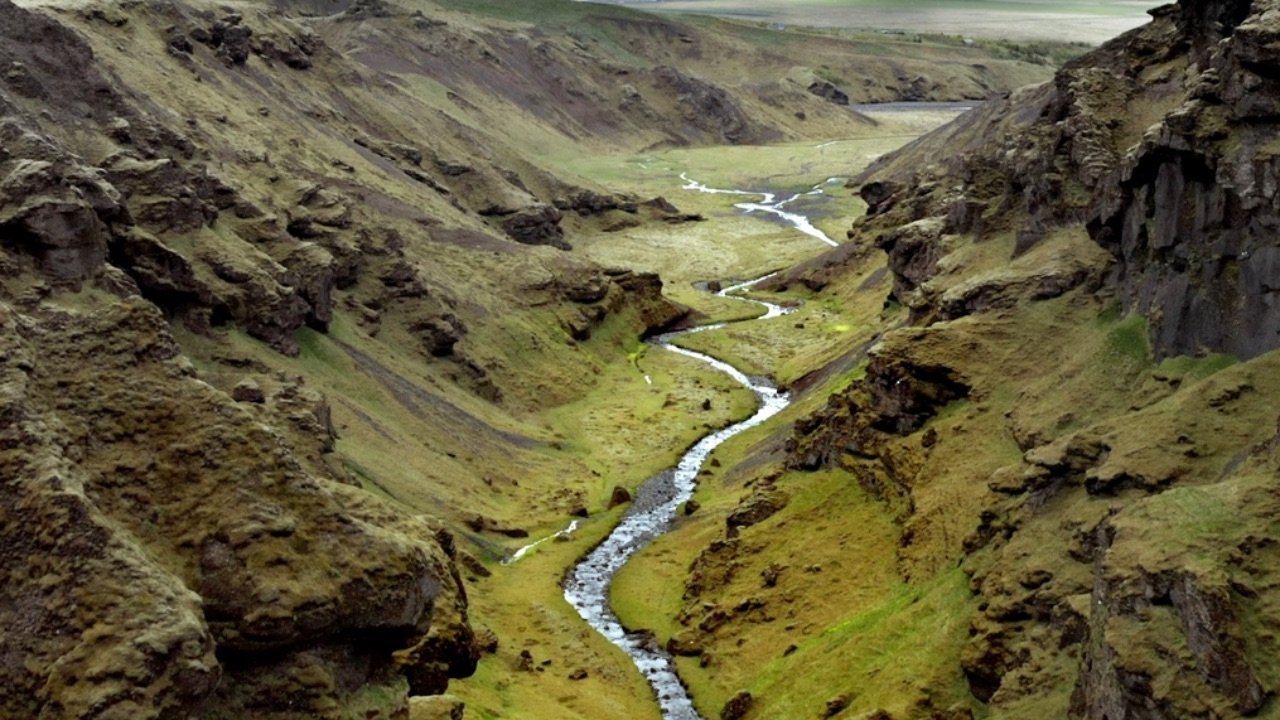 Terre, Les Forces du Vivant