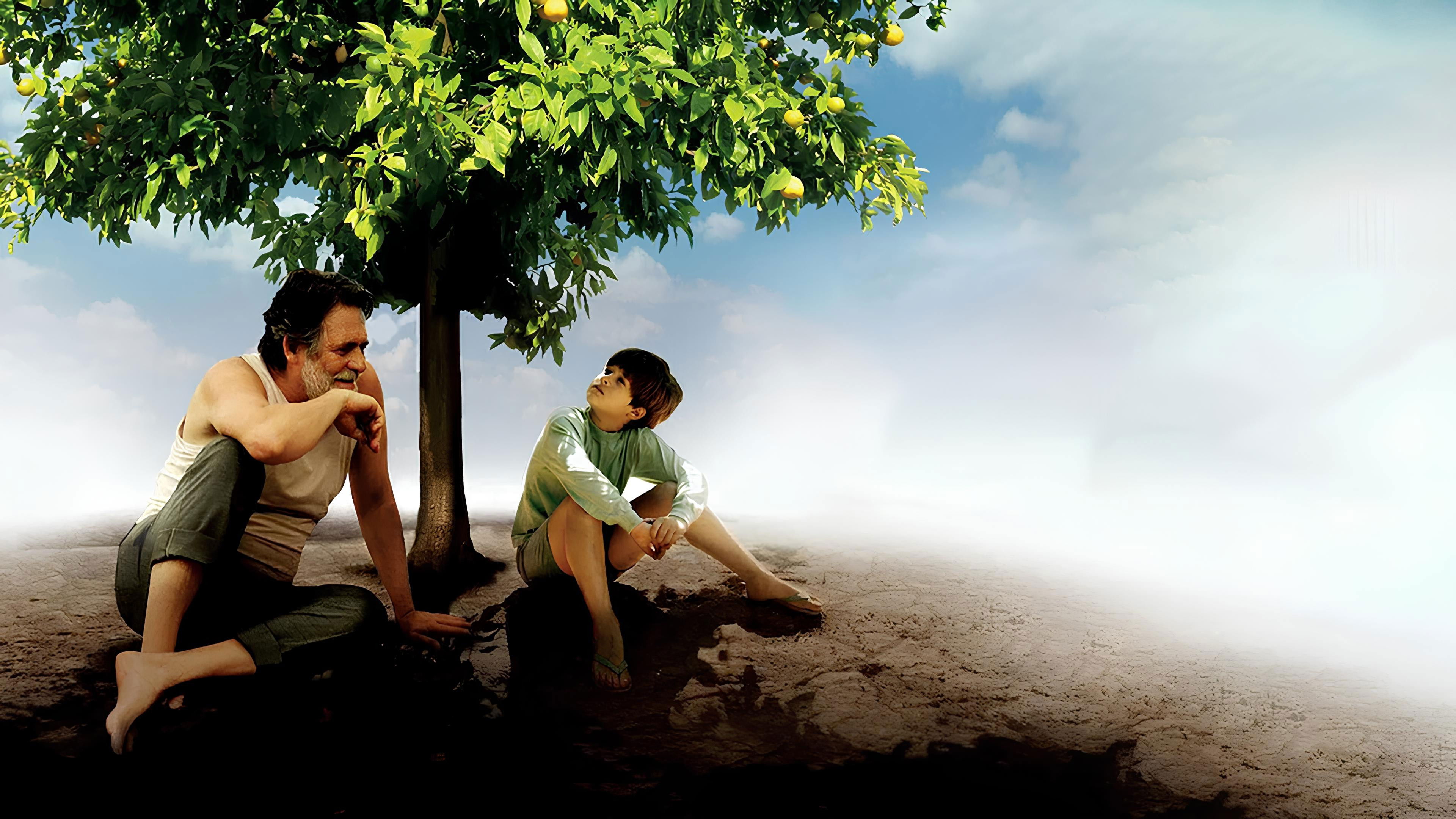 My Sweet Orange Tree