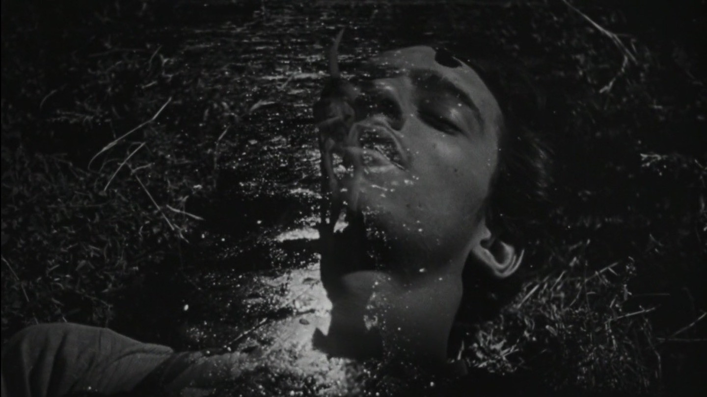 The Young and the Damned