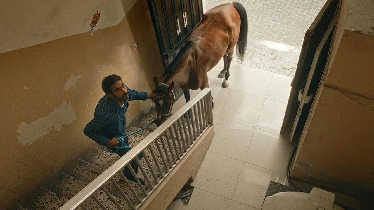 A Beautiful Excuse for a Deadly Sin