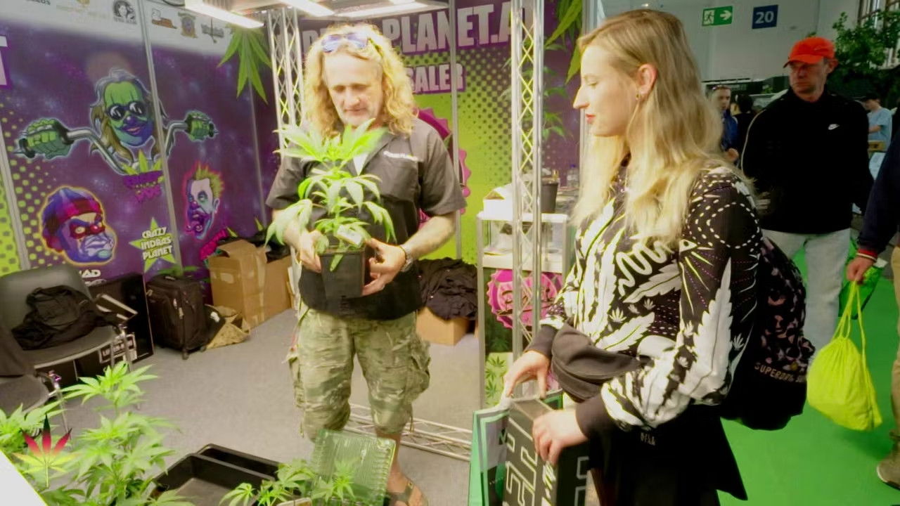 Bekifftes Deutschland – Zwischen Rausch und Realität