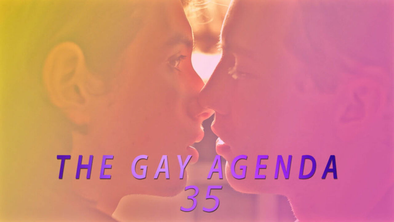 The Gay Agenda 35