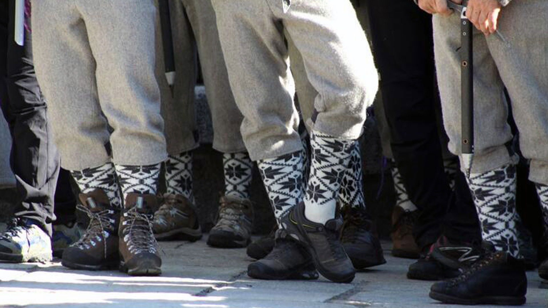 The Companions Of The Void