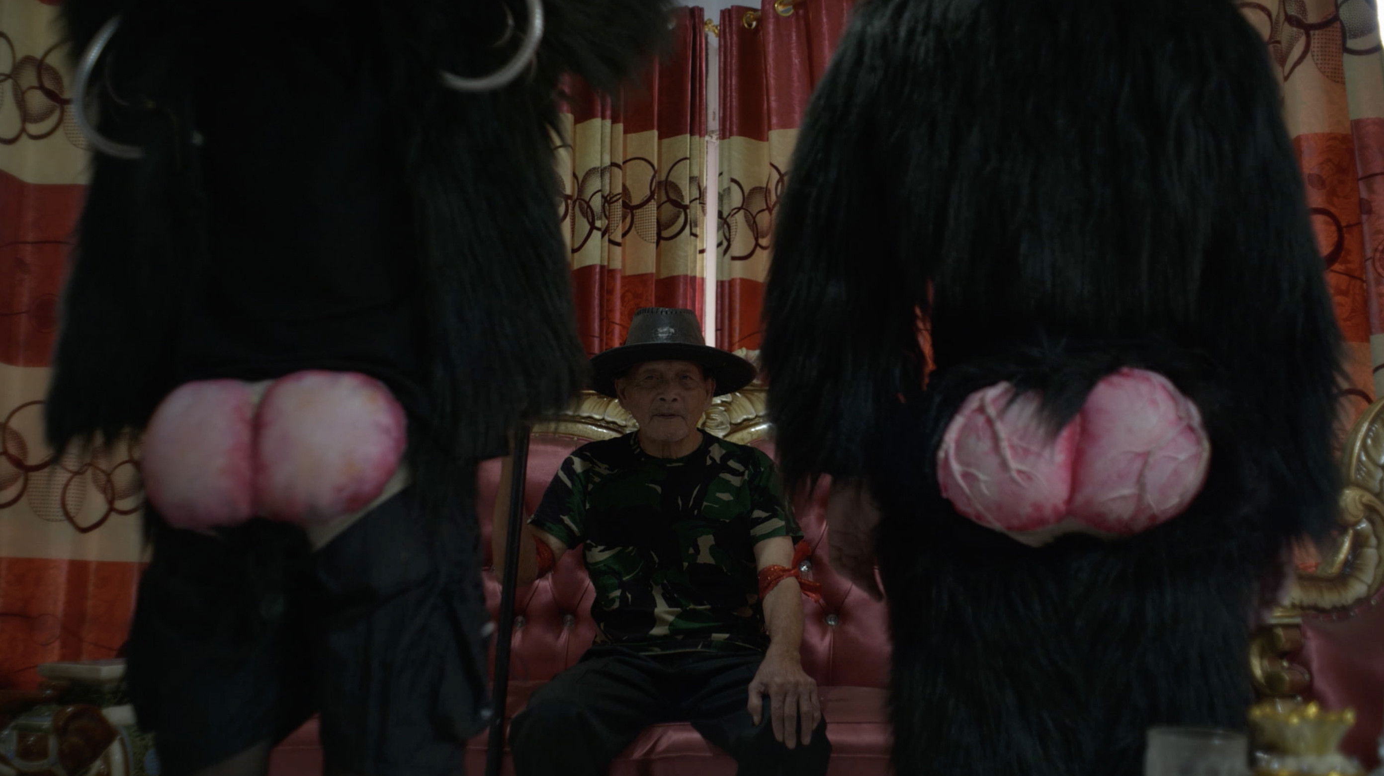 Primate Visions; Macaque Macabre