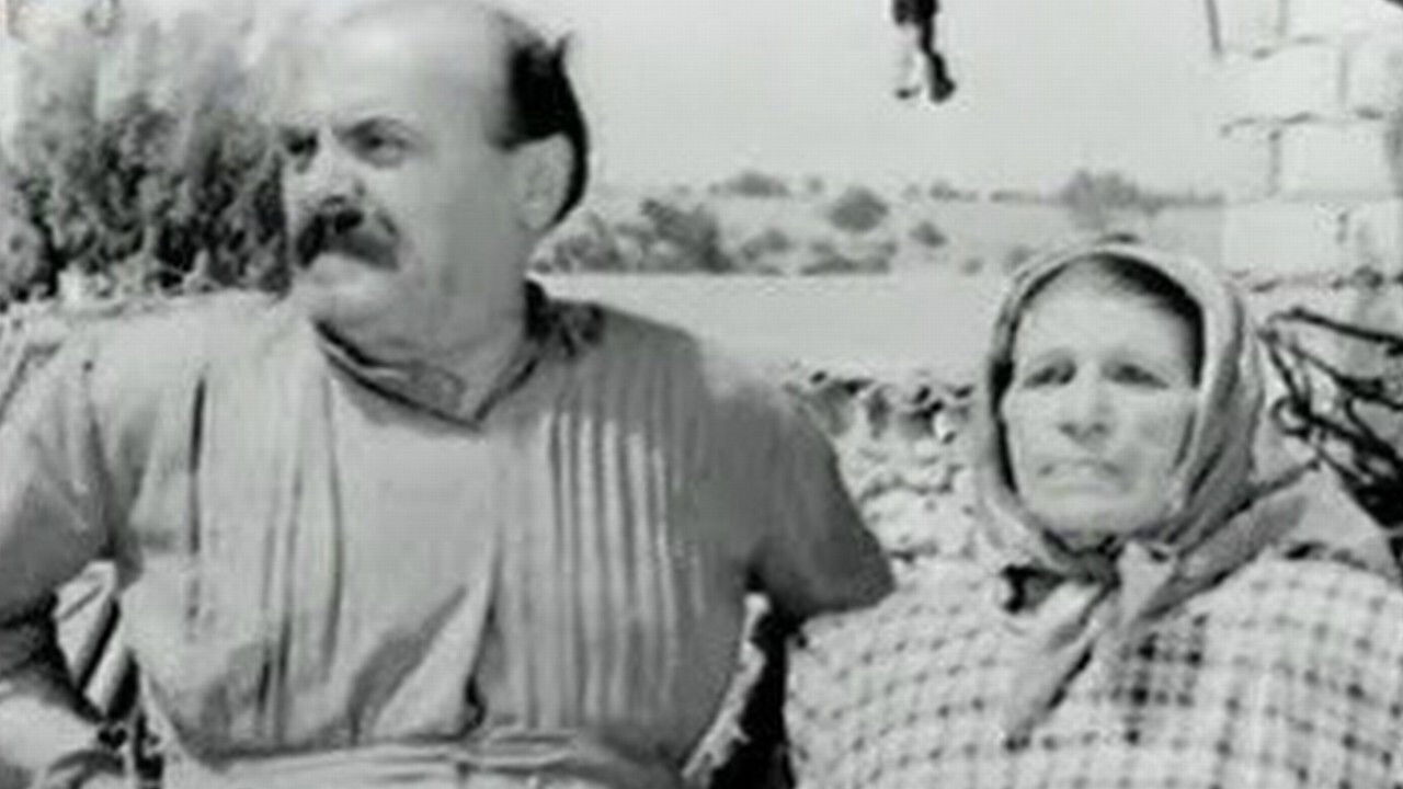 They ere all... Fools!