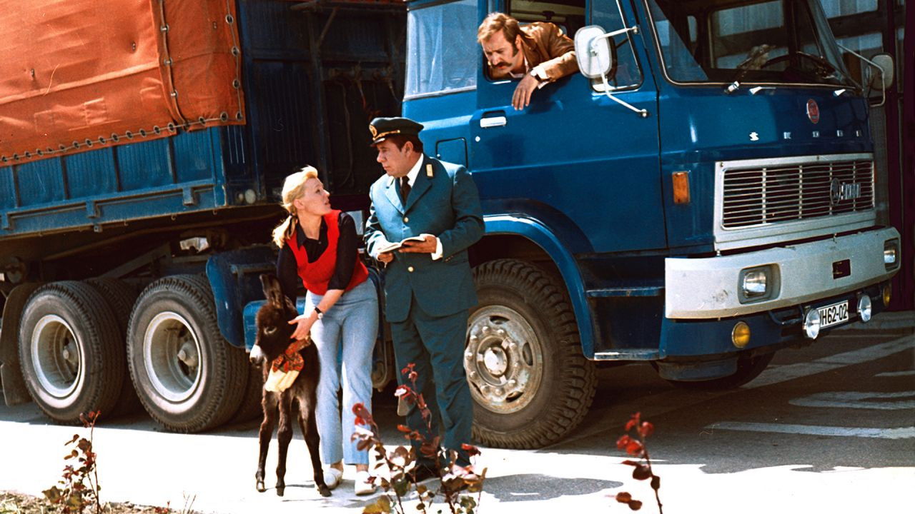 How Do You Feed A Donkey?