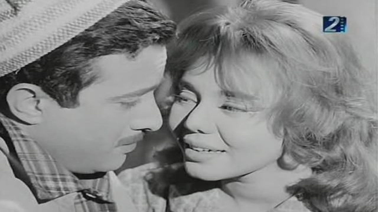 The Newspaper Seller