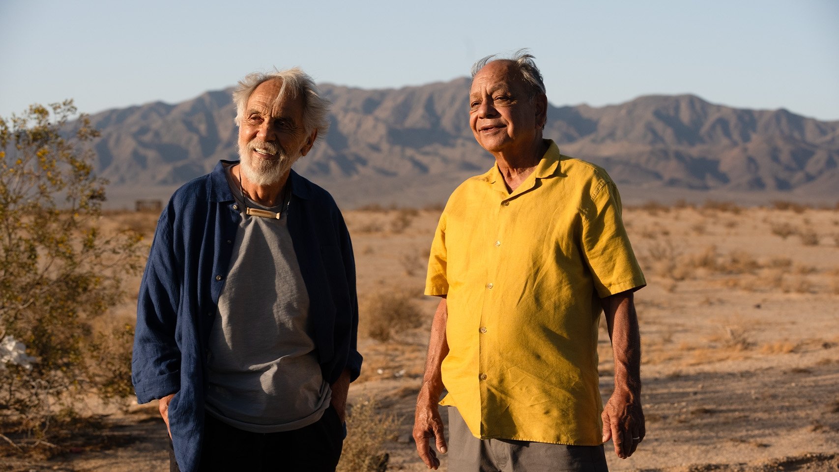 Cheech & Chong's Last Movie