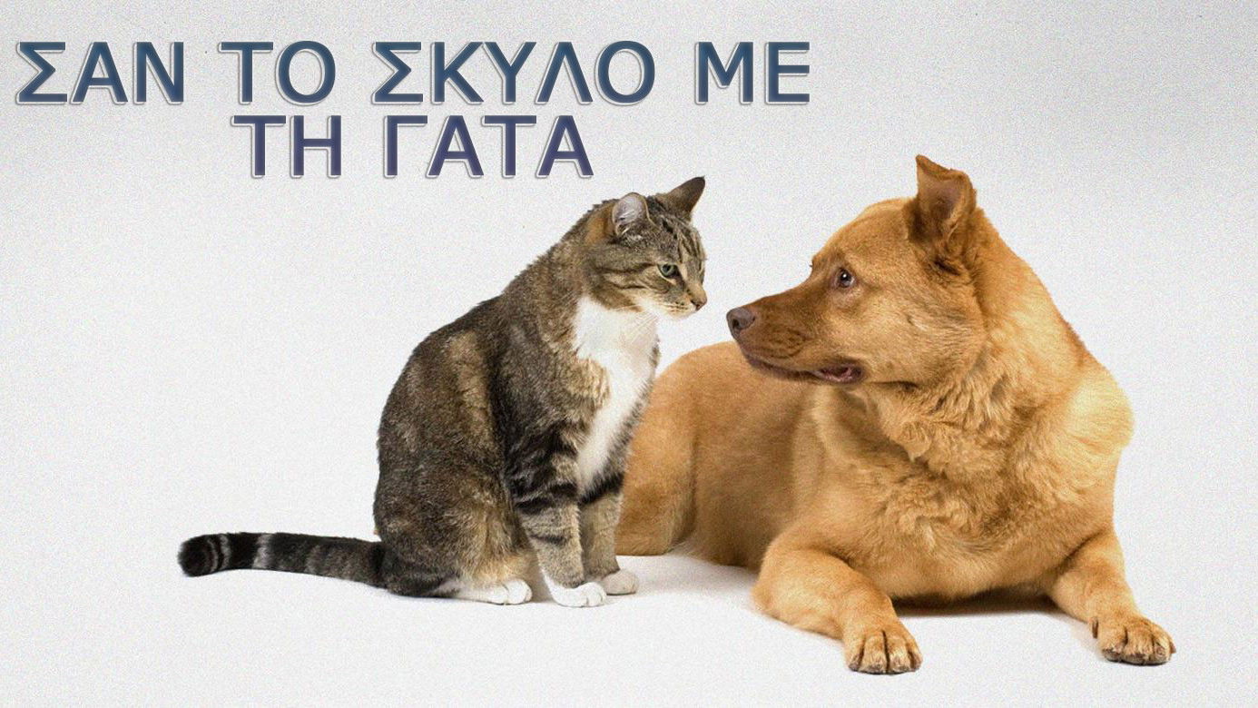 Σαν τον σκύλο με τη γάτα