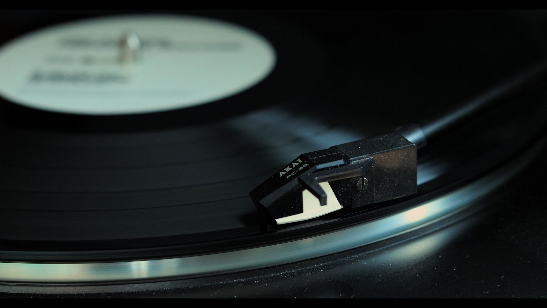 Please Don't Leave Me