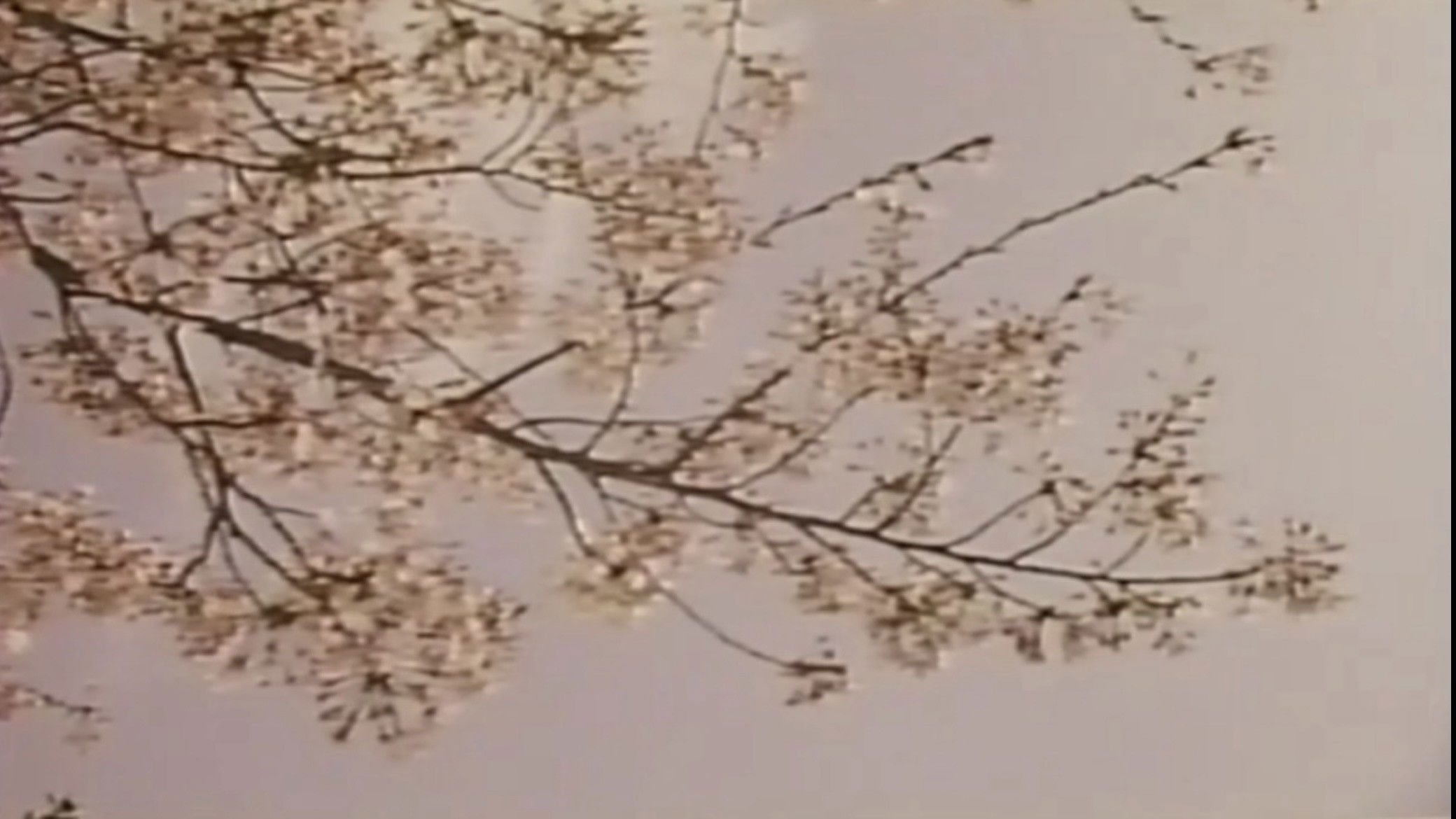 Wakaoku-sama: Futomono-biraki