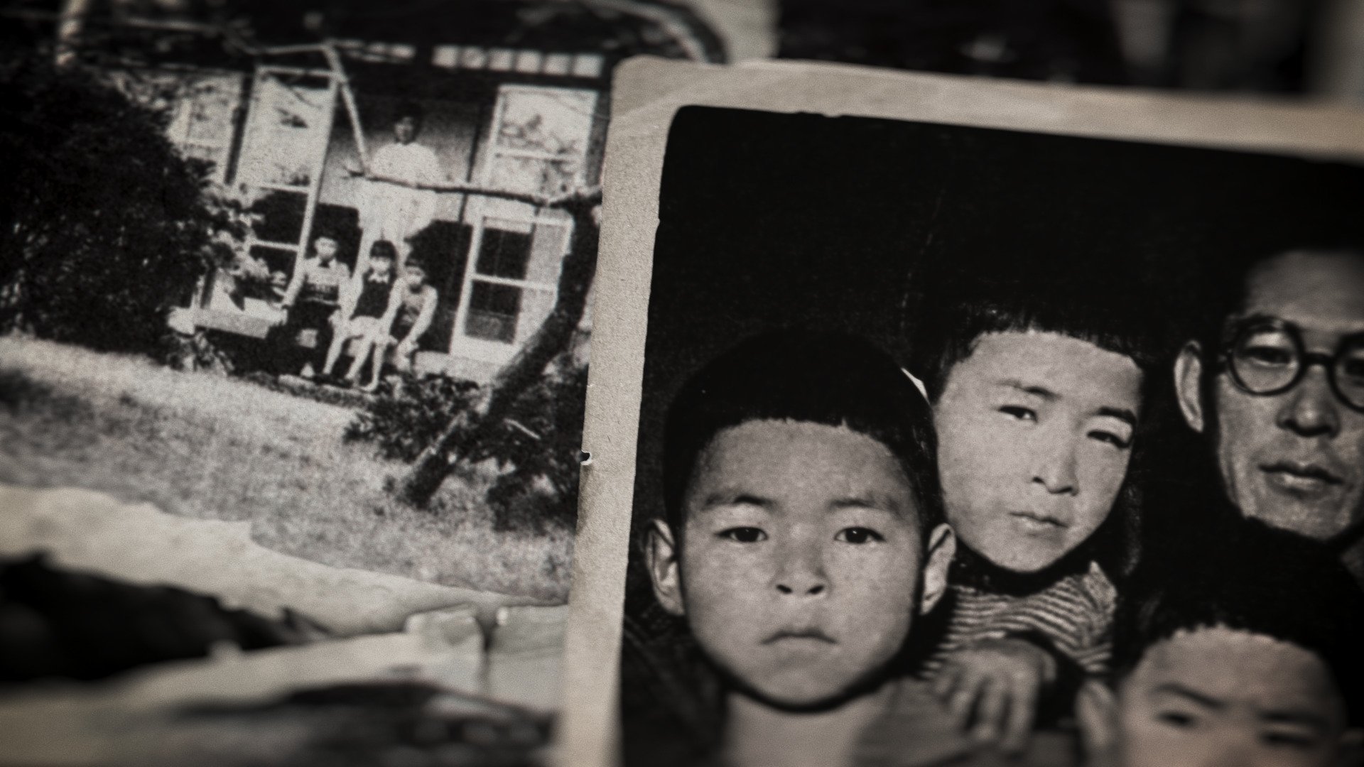 Miyazaki, Spirit of Nature